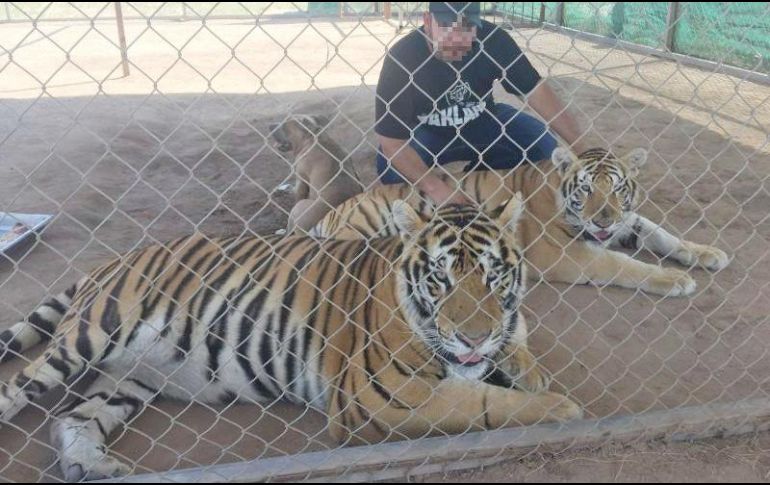 El padre de la afectada refirió que nunca habían tenido un incidente, y sólo esperan que la niña se recupere. TWITTER/@ProyectoPuente