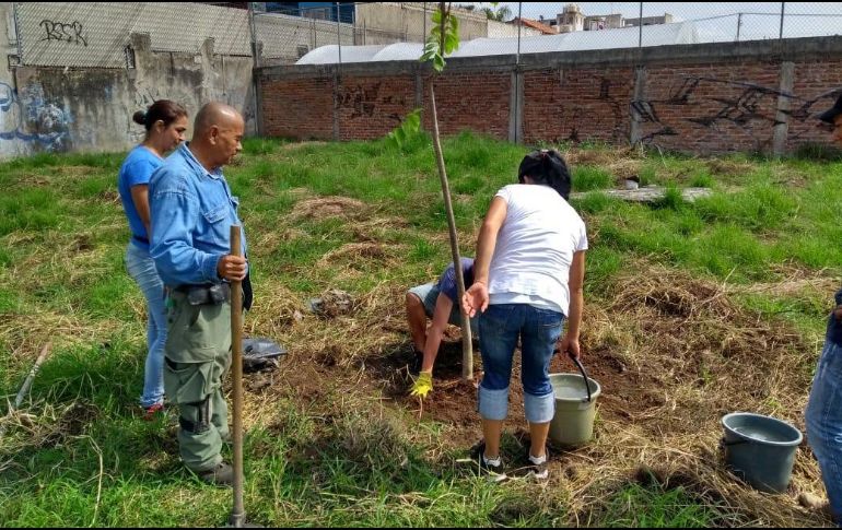 Unas 80 personas acudieron a realizar esta actividad. ESPECIAL