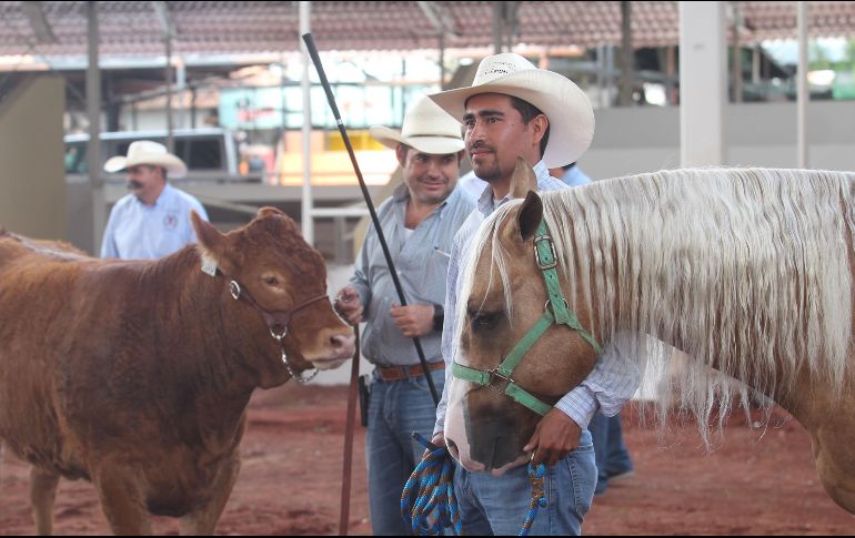 La expo ofrece cursos para sus agremiados y divertidas actividades para los visitantes. EL INFORMADOR/E. Barrera