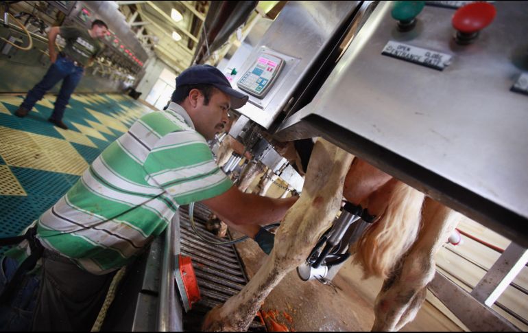 Las actividades agropecuarias reportaron un crecimiento trimestral de 0.8%. AFP/Archivo