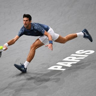 Dzumhur abandona y Djokovic va a cuartos de final en París