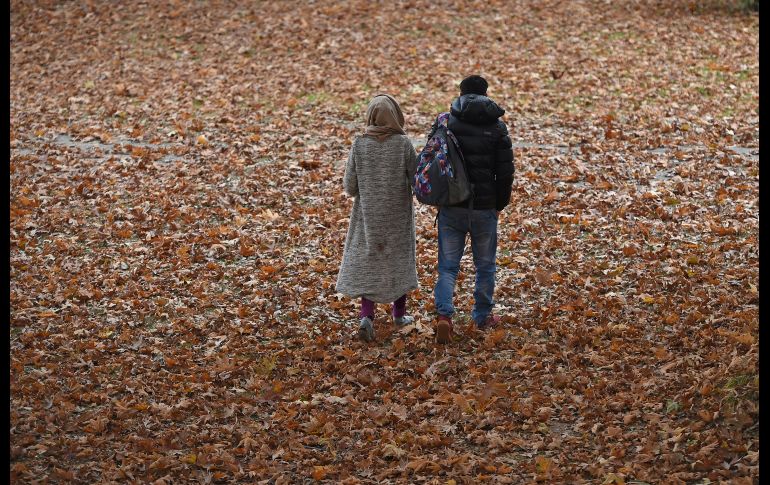 Una pareja disfruta un paseo vespertino en un camino cubierto por las hojas de maple que son emblemáticas de la temporada otoñal. La estampa proviene de la ciudad de Srinagar, la capital de verano del estado de Jammu y Cachemira, en la India. AFP / T. Mustafa