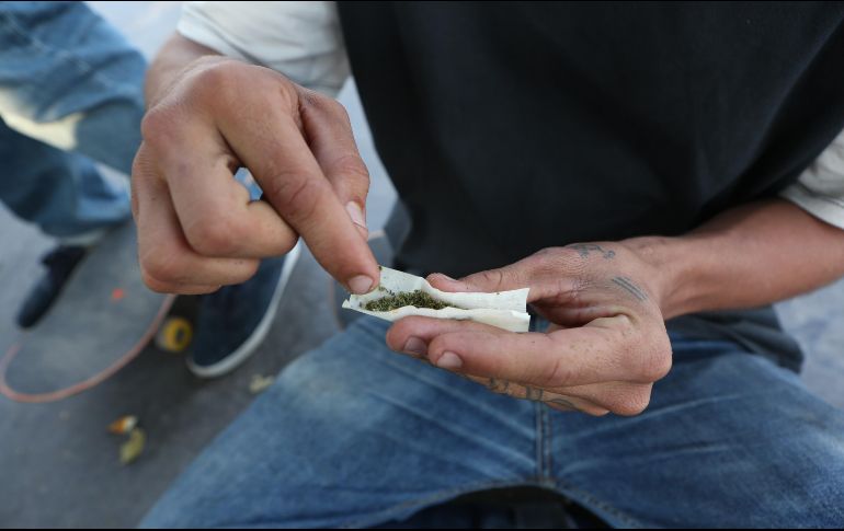 El 29 de abril, la Cámara de Diputados aprobó el uso medicinal y científico de la marihuana en México al reformar la Ley General de Salud y al Código Penal Federal. EL INFORMADOR/ARCHIVO