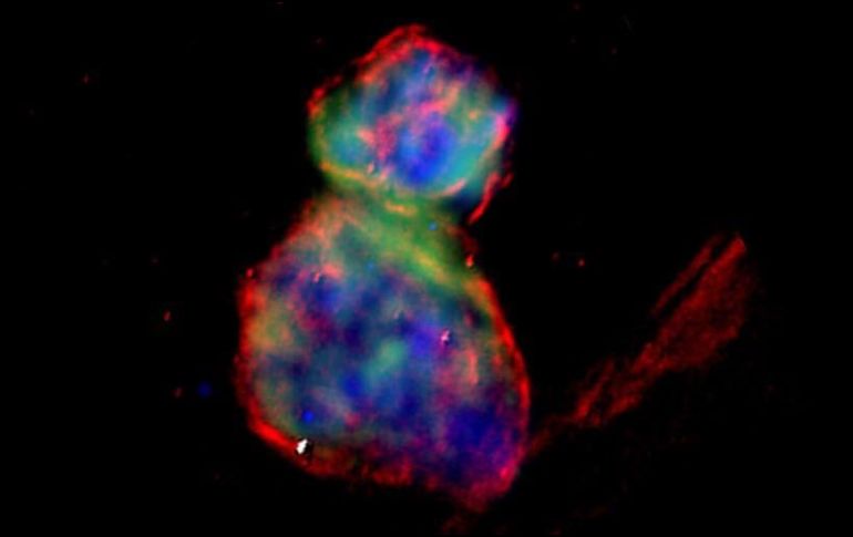 El fenómeno se encuentra ubicado a a 160 mil años luz de distancia de la Tierra en la Gran Nube de Magallanes. TWITTER / @chandraxray