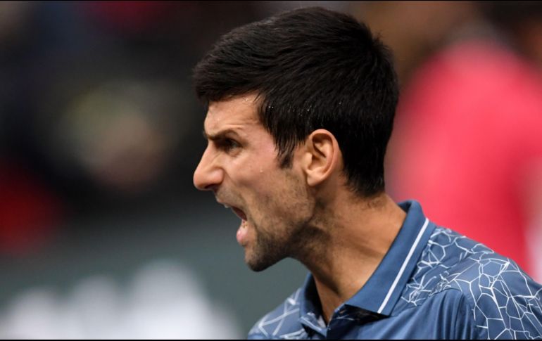 Esta es la cuarta ocasión en la que el serbio accede a lo más alto de la clasificación mundial, la última vez fue hace dos años, y desplaza al segundo lugar al español Rafael Nadal. AFP / C. Archambault