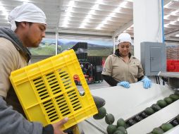 La protesta detuvo la actividad económica de 16 mil 800 empleos directos y más de 70 mil empleos temporales en Michoacán. EL INFORMADOR/Archivo