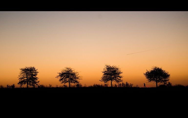 Un hombre pasea al amanecer en la colina Kronsberg, en la ciudad alemana de Hanver. AFP/DPA/J. Stratenschulte