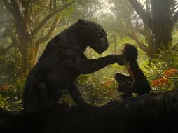En escenarios de la India, “Mowgli” (Rohan Chand) debe navegar los peligros inherentes de cada uno en un viaje para descubrir a dónde pertenece realmente. ESPECIAL / Netflix