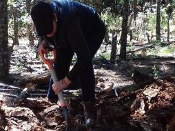 Casi 30 elementos participaron en los trabajos, llevados a cabo en la comunidad de Las Antenas o Las Cumbres. TWITTER/@Noti_Parral