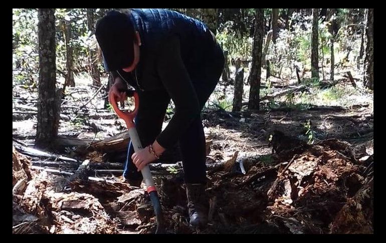 Casi 30 elementos participaron en los trabajos, llevados a cabo en la comunidad de Las Antenas o Las Cumbres. TWITTER/@Noti_Parral