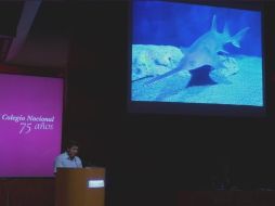 Sacerdotes depositaban los espadartes en un nivel intermedio dentro de las ofrendas. TWITTER/@ColegioNal_mx