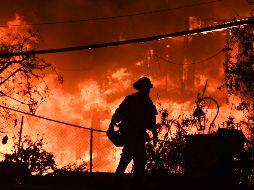 Varias personas dijeron haber visto en llamas gran parte de la comunidad de Paradise. AP/R. Beck