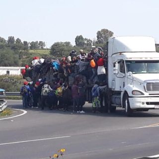 Primeros migrantes de la Caravana llegan entre sábado y domingo a Guadalajara