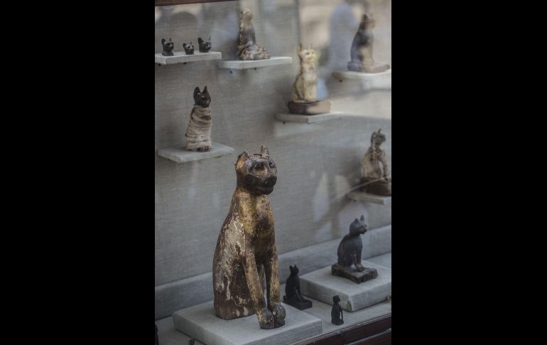 De las estatuas halladas, la mayoría son de gatos, lo que refleja la reverencia que los antiguos egipcios tenían hacia los felinos. AFP/K. Desouki