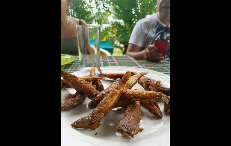 Delicioso. Los chacales típicos de la zona son pequeños  y sabrosos, ¡ideales para la botana!