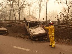 Diez de los cuerpos fueron encontrados en Paradise y otros cuatro en el área de Concow. AFP/J. Edelson