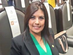 La diputada Carmen Julia Prudencio alerta sobre las funciones de los delegados, que al coordinar los programas prioritarios podrían intervenir en temas de seuridad. FACEBOOK/carmenjuliagdl