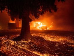 Los incendios forestales han causado al menos 31 muertes, la destrucción de miles de hectáreas, casas y estructuras. AP / N. Berger