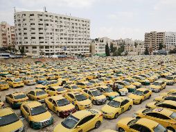 El mundo en imágenes del 13 de noviembre de 2018