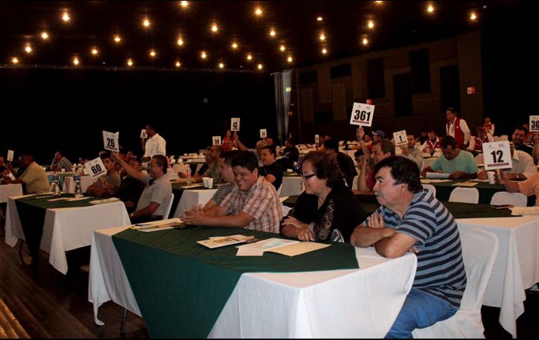 Del año 2013 a la fecha, se han rematado 7 mil 897 unidades, en 17 subastas que se han realizado. EL INFORMADOR / ARCHIVO