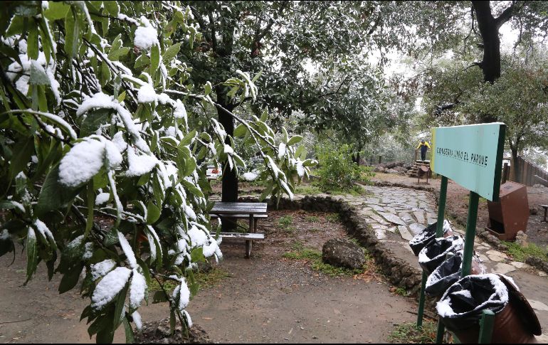 El marcado descenso de las temperaturas está acompañado de fuertes vientos. Exhortan a tomar precauciones para el cuidado de la salud. SUN / E. Moreno