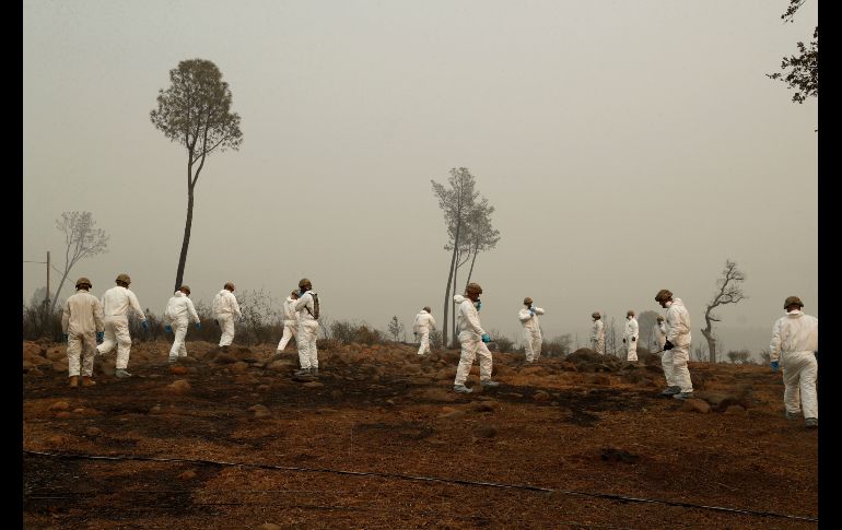 Integrantes de la Guardia Nacional de California rastrillan una propiedad en Paradise.