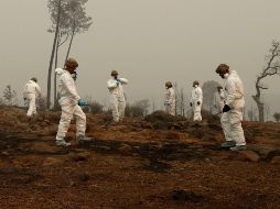 Peinan zonas arrasadas por incendio en California