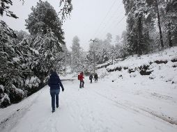 El miércoles,  el Nevado de Toluca se cubrió de blanco al registrar cuatro grados bajo cero. SUN