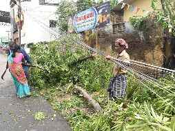 El ciclón desarraigó árboles y derribó postes, por lo que las autoridades interrumpieron el suministro eléctrico en las zonas más afectadas. AFP