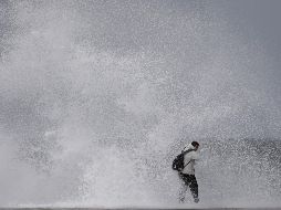 El mundo en imágenes del 18 de noviembre de 2018