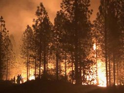 Este incendio está contenido en un 94 por ciento y ha quemado más de 39 mil hectáreas. EFE /