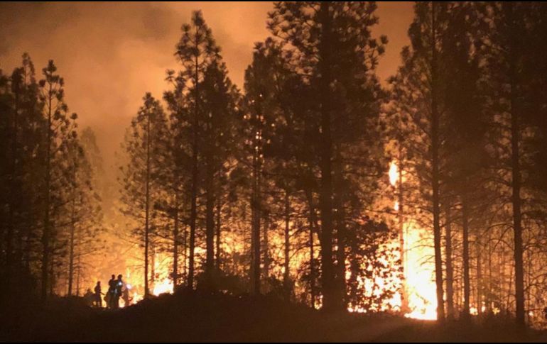 Este incendio está contenido en un 94 por ciento y ha quemado más de 39 mil hectáreas. EFE /
