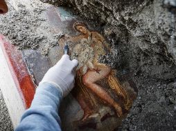 El mundo en imágenes del 19 de noviembre de 2018