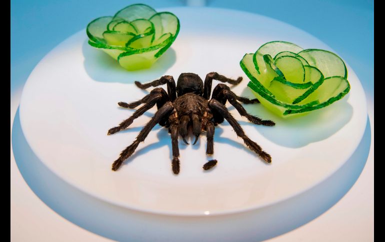 Tarántula frita, platillo de Camboya.