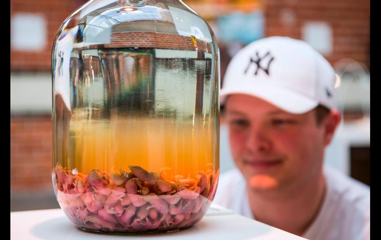 Un visitante observa un vino de ratones, proveniente de China.