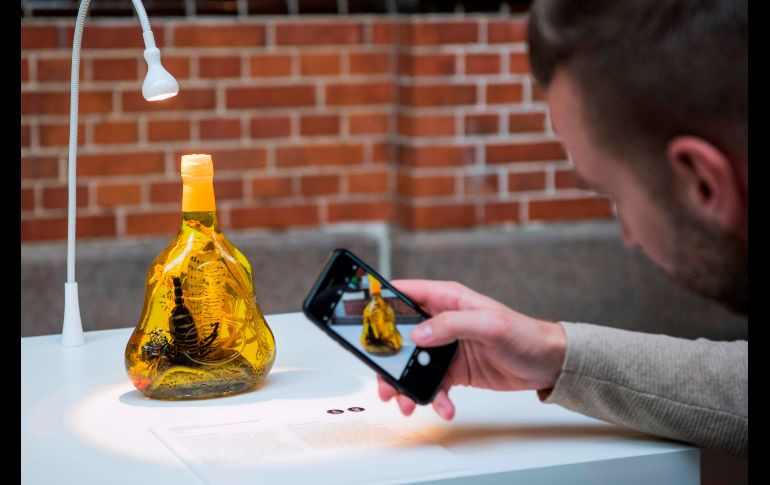 Un vino japonés de serpiente, 