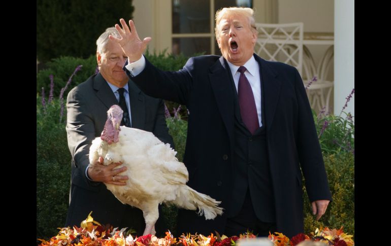 El presidente estadounidense, Donald Trump (i), y el presidente de la Federación Nacional del Pavo, Jeff Sveen (d), participan en el acto de perdón por Acción de Gracias en la Casa Blanca de Washington, DC. AP/C. Kaster