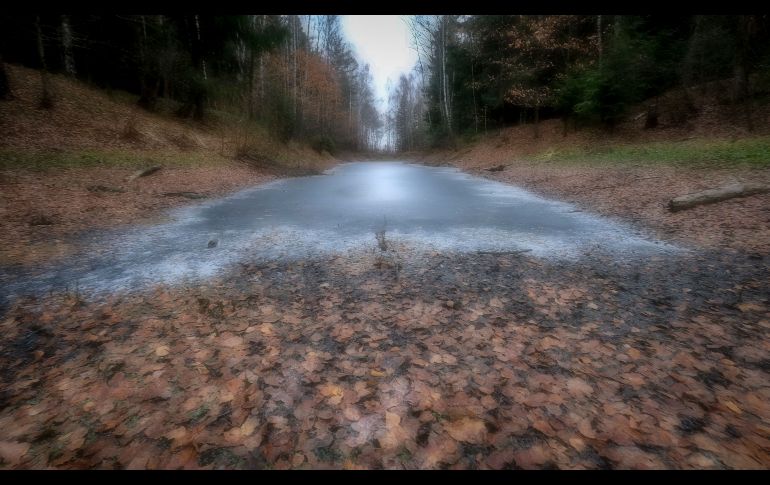 Un estanque congelado se ve en un bosque a las afueras de Moscú, Rusia. AFP/Y. Kadobnov