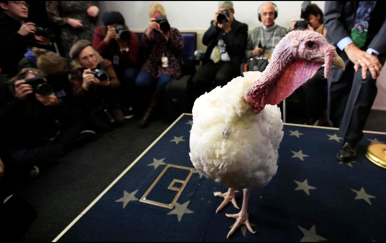 Autoridades sanitarias no han logrado identificar el origen del brote de salmonela, que podría proceder de pavos vivos o productos crudos derivados de este animal. AP / ARCHIVO