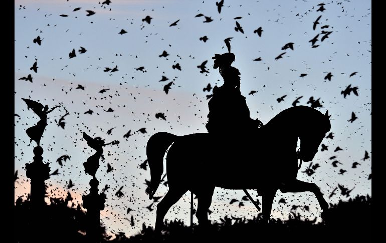 Una parvada pasa sobre el monumento a Víctor Manuel II en Roma, Italia. AFP/V. Pinto