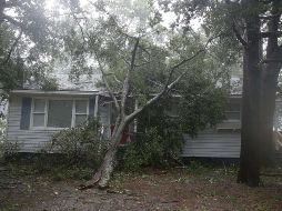 Aseguran que el calentamiento global está dañando ya la salud de las personas, y va a empeorar. AP/ARCHIVO