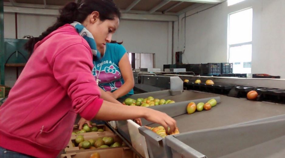 Campa indicó que la meta del sexenio era crear 4 millones de empleos formales en el país. EL INFORMADOR / ARCHIVO