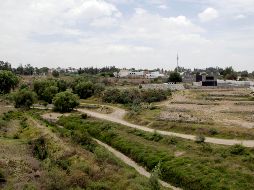 Actualmente los terrenos se encuentran en posesión del Gobierno estatal que puede seguir con las acciones de reforestación y recuperación ambiental. EL INFORMADOR/ ARCHIVO