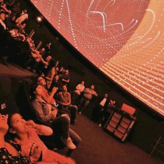 Hasta el 5 de diciembre, la entrada a "Lunaria" será gratis