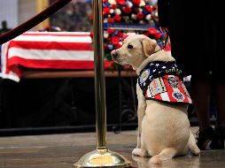 El mundo en imágenes del 4 de diciembre de 2018