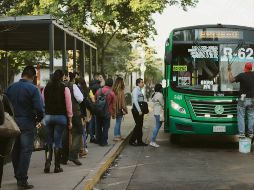 Amplían hasta fin de año programa de Bienevales