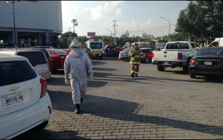 Para evitar mayores afectaciones, elementos de seguridad neutralizaron el panal y acordonaron la zona. ESPECIAL/ Protección Civil Zapopan