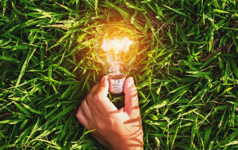 Empresas muestran innovación con distintos segmentos