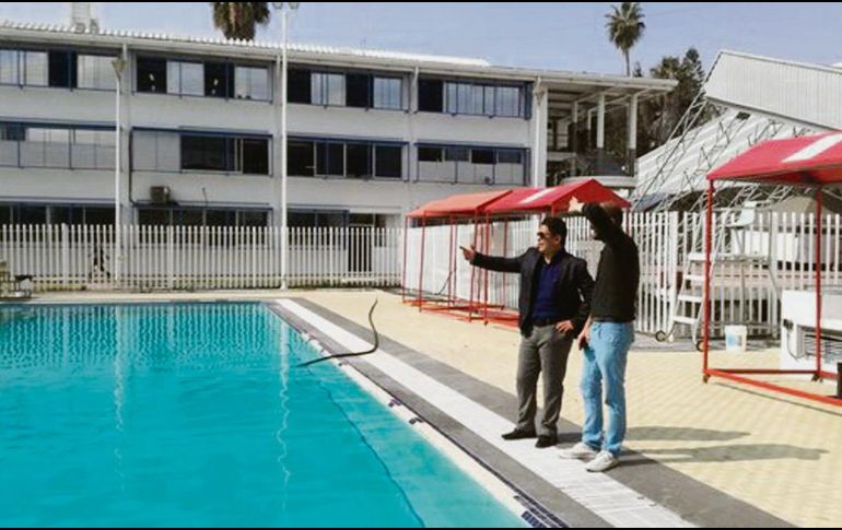 Fernando Ortega (izquierda) supervisa el estado de las instalaciones deportivas. @SPORTCENTER