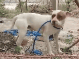 Después de permanecer encerrado por dos días, 